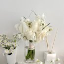 르파르투어플래닝 | 웨딩 플래너 추천 및 후기 | 르웨딩 김하늬 수석실장님