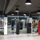 용인대석사복싱 이미지