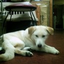 스마일하우스 이미지