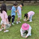 도마산초등학교 이미지