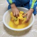 치자로 물들이기 이미지