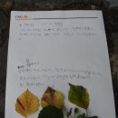 사계절 생태놀이 Daum카페