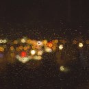 재단법인한국SGI 이미지