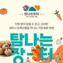 제주 탐나는쇼핑몰