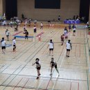 사우초등학교 이미지