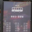 용문산 은행나무길(물소리길 6코스) 이미지