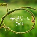 자연캘리그라피