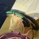(주)진주투어 | 길리 여행 3일차 - 길리 프라이빗 스노클링 투어 프얀 Fyan 4인 후기