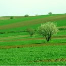 클래식기타 B 이미지