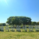 을숙도 철새공원 이미지