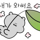 스튜디오41