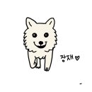 박스(Park.s) 이미지