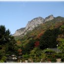 성거약국 이미지