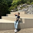 테마 애견 | 스위스 테마파크 마을 애견 동반 후기