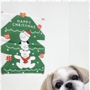 미소애견샵 이미지