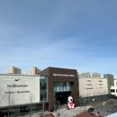 대형견프리미엄아울렛 이미지