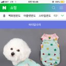 고양이 옷이랑 넥카라중에 뭐가 더 스트레스 덜받아?? 이미지