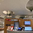 스타필드 수원 | 스타필드수원맛집 부리또볼 타코 치즈스틱 쿠차라 스타필드수원점 잇토피아 후기