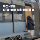세븐일레븐 동해이편한점 | 동해바다 품은 KTX-이음 부전에서 강릉역 탑승 솔직 후기&amp;꿀팁 방출