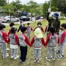 온누리들의 숲체험에서 봄을 느껴보아요~^^ - 솔방울반(1반) 이미지