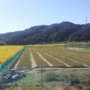 석암농장 이미지