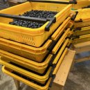 노천농장 이미지