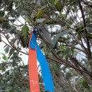 제주 올레길 7코스 이미지