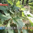 평철농장 이미지