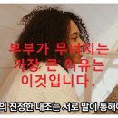 수효자동차 네이버블로그