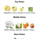 스프링플라워 이미지