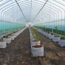 대주농장 이미지