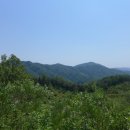 금학산 목장 이미지