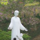 남양화원