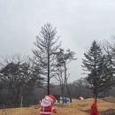 카페수목원 | 포천카페추천｜스테이 수목원 안 베이커리 카페 후기