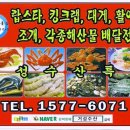 [활오징어 가격]인천연안부두 횟감용 살아있는 오징어 판매가격/오징어싸게파는곳,인천어시장/횟감용 활오징어 가정배달. 이미지