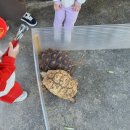 임실자연농원 이미지