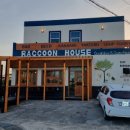 라쿤 하우스 이미지