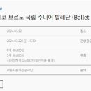 (공연) 체코 브르노 국립주니어 발레단 내한공연 이미지