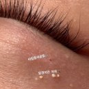 뷰에리