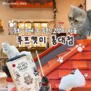 그루밍140 | 동화 속에 들어온 듯한 루프캣미 고양이카페 홍대점 | 홍대 방탈출 추천