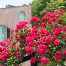 낙성농장 이미지