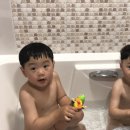 운정건강공원 이미지