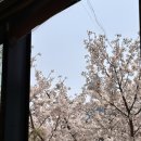 서산가마솥국밥