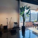 멜로우브런치카페 이미지