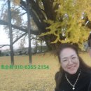 오목경로당 | 실버보드게임으로 잠자는 뇌를 깨우자.원주최순희실버보드게임의 세계로 퐁당 빠지던 날