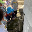 숲놀이(9월 3주;뱀허물 관찰,보자기제기,언덕오르내리기,생밤까서먹기,흙동산 화단꾸미기,칡꽃향기,막대세우기,가을열매와 과일,마당그림… 이미지