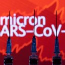 변이(미디어) 이미지