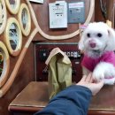 슈퍼맨 노래연습장 이미지