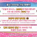 주식회사 순수투어 이미지