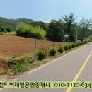 마중리 Daum카페